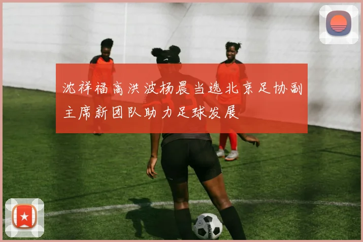沈祥福高洪波杨晨当选北京足协副主席新团队助力足球发展
