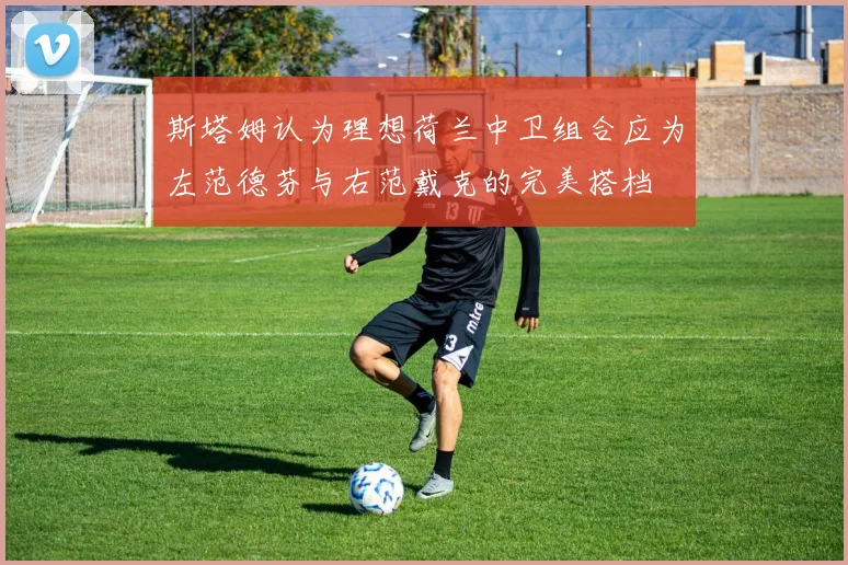 斯塔姆认为理想荷兰中卫组合应为左范德芬与右范戴克的完美搭档